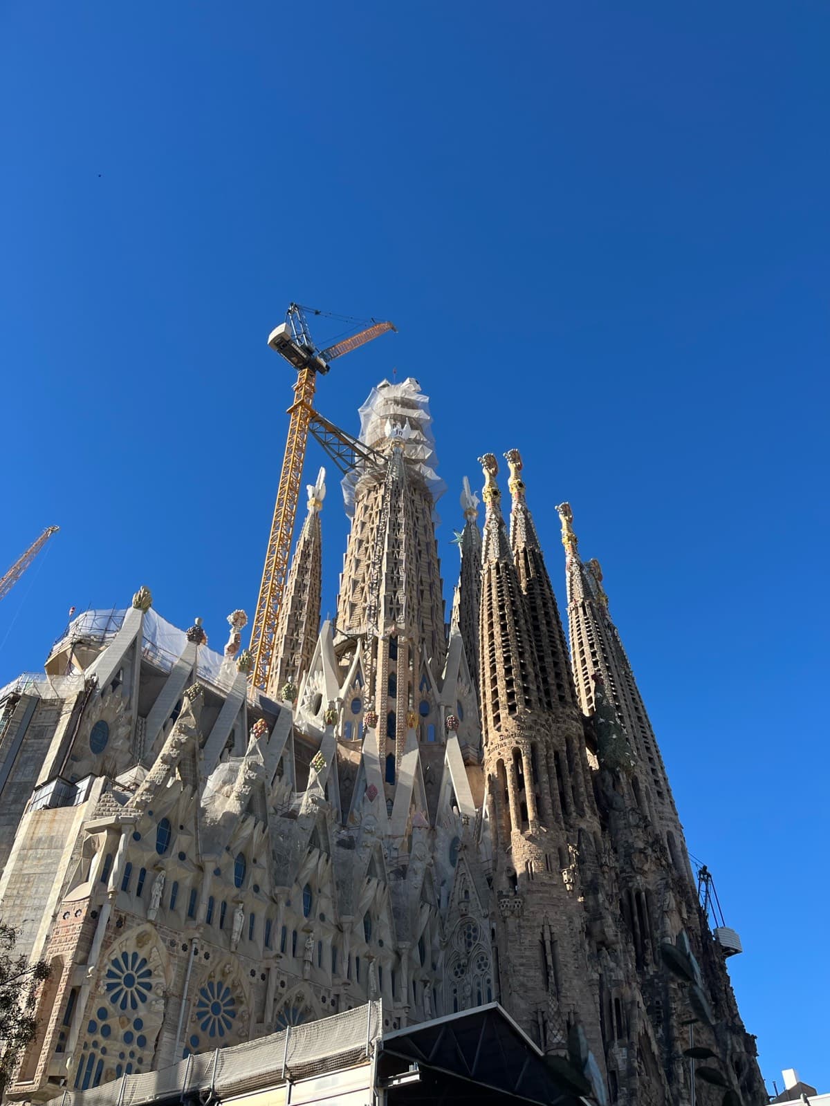 Photo from Happy Barcelona tour